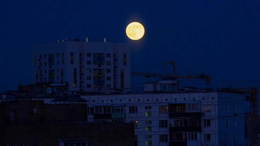 Ay ilk dəfə olaraq nəsli kəsilməkdə olan mədəniyyət obyektləri siyahısına daxil edildi