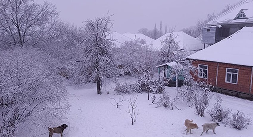 Qar, yağış, şaxta... - Faktiki hava