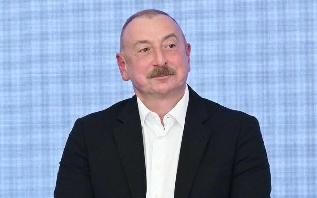 "Naxçıvan bu problemdən xilas olacaq" - Prezident