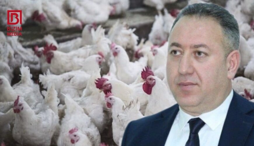 Həkimdən XƏBƏRDARLIQ: Broyler toyuqları cinsi zəifliyə səbəb ola BİLƏR