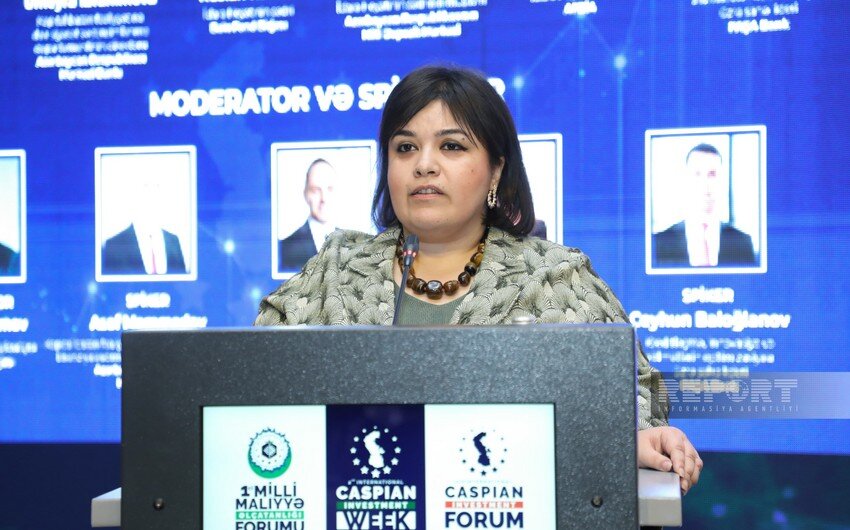 Umeyra İbrahimova: "Kapital bazarının inkişafı iqtisadi artımın stimullaşdırılmasında həlledici rol oynayacaq"