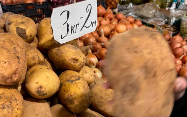 Kartofun qiyməti gömrükdə 5 qəpik, marketlərdə 70 qəpik artıb