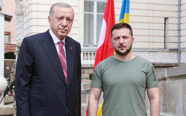 Ərdoğanla Zelenskinin görüşü başladı