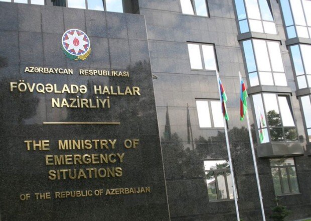 Nazirlik itlər üçün 164 minlik qida alır