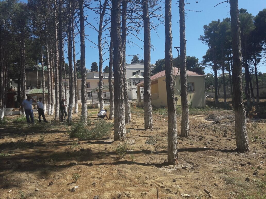İki rayonda təbiətə 18 min manatdan çox ziyan vuruldu