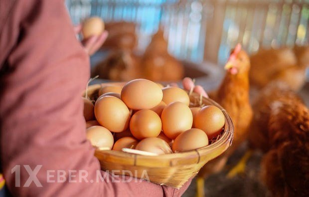 SON DƏQİQƏ:Azərbaycanda toyuq əti və yumurta BAHALAŞDI