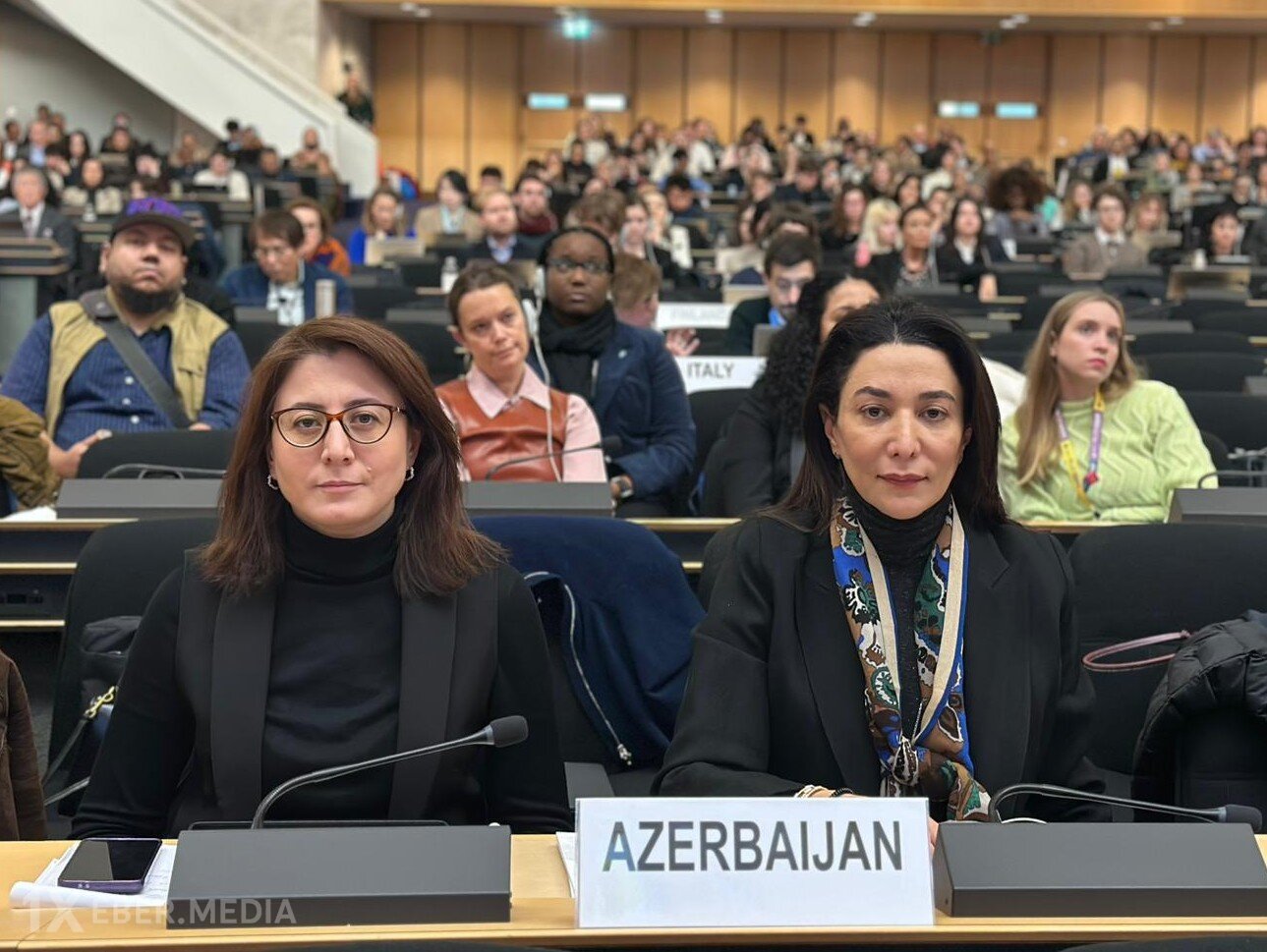Səbinə Əliyeva Cenevrədə BMT-nin Biznes və İnsan Hüquqları Forumunda iştirak edib