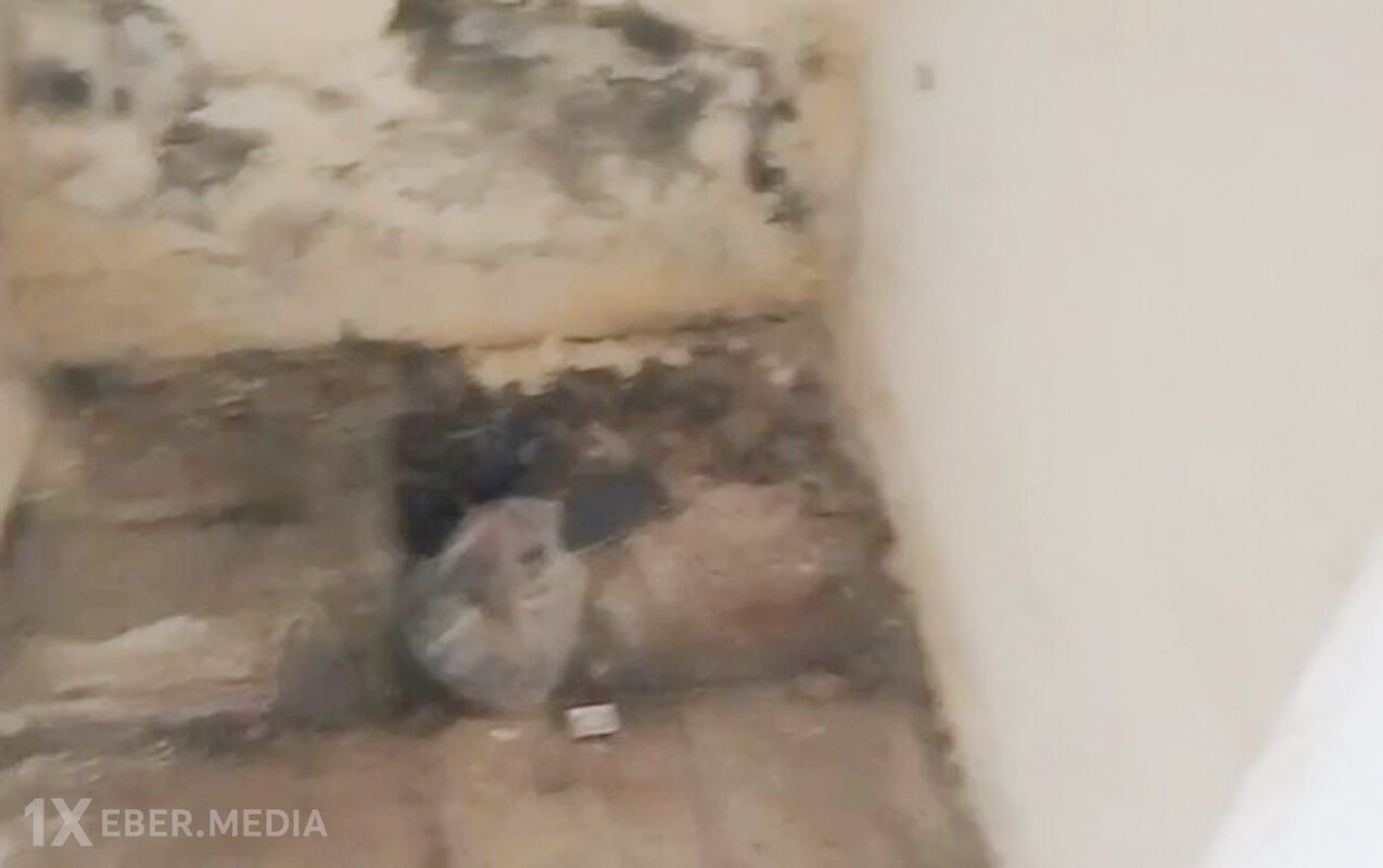 Yevlax stadionunda biabırçı vəziyyət - Video