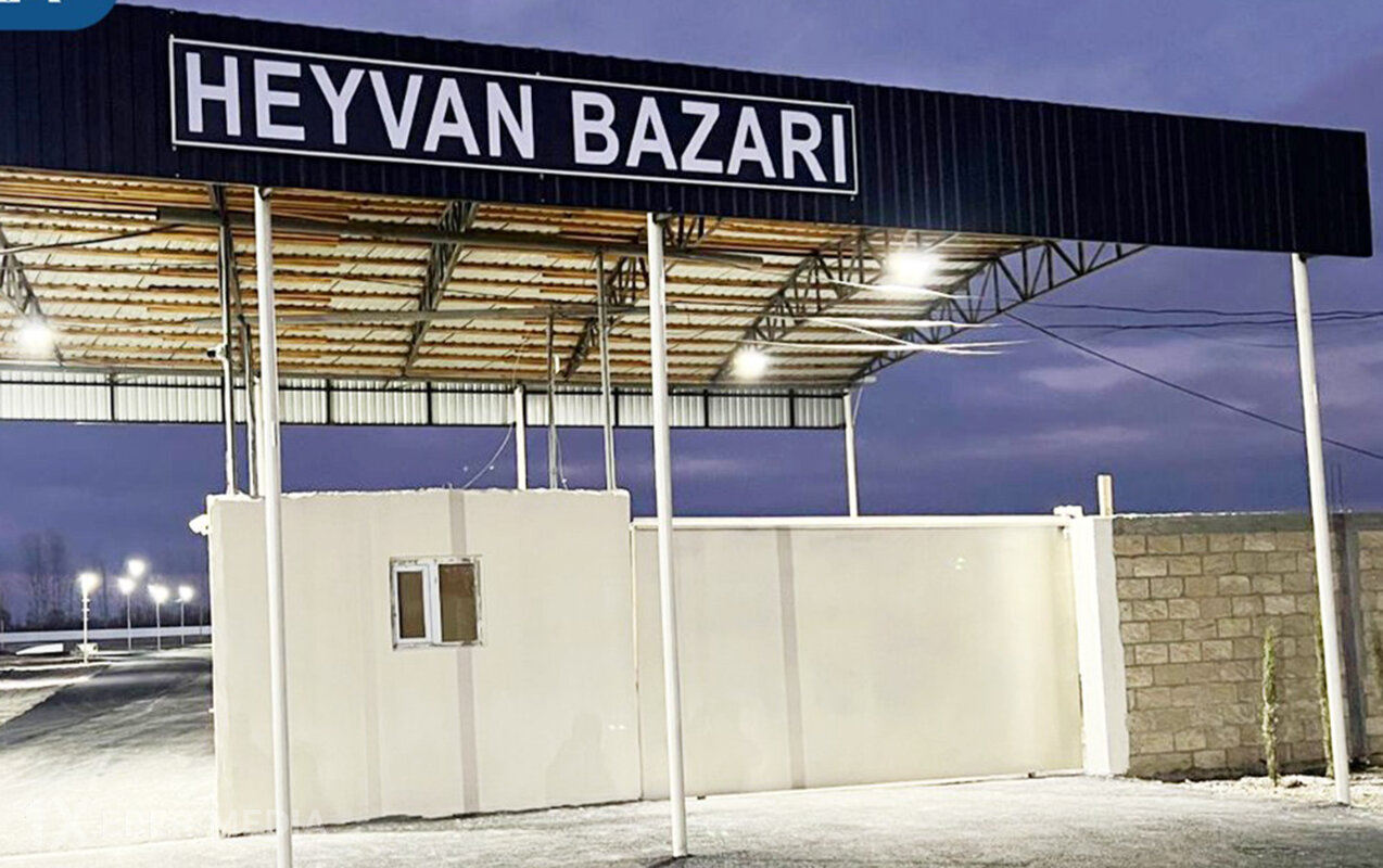 Bərdə heyvan bazarı yenidən açıldı - Fotolar