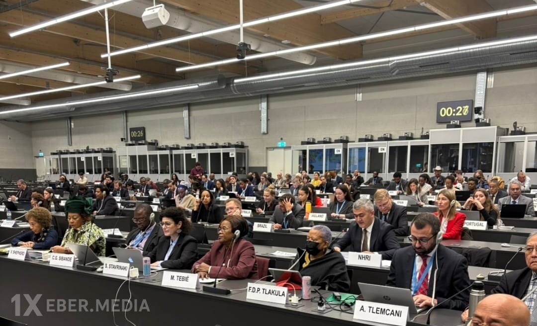 Ombudsman Aparatının nümayəndələri Cenevrədə