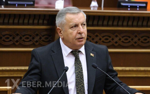 "Konstitusiyamızda problemli məqamlar var" - Erməni deputat