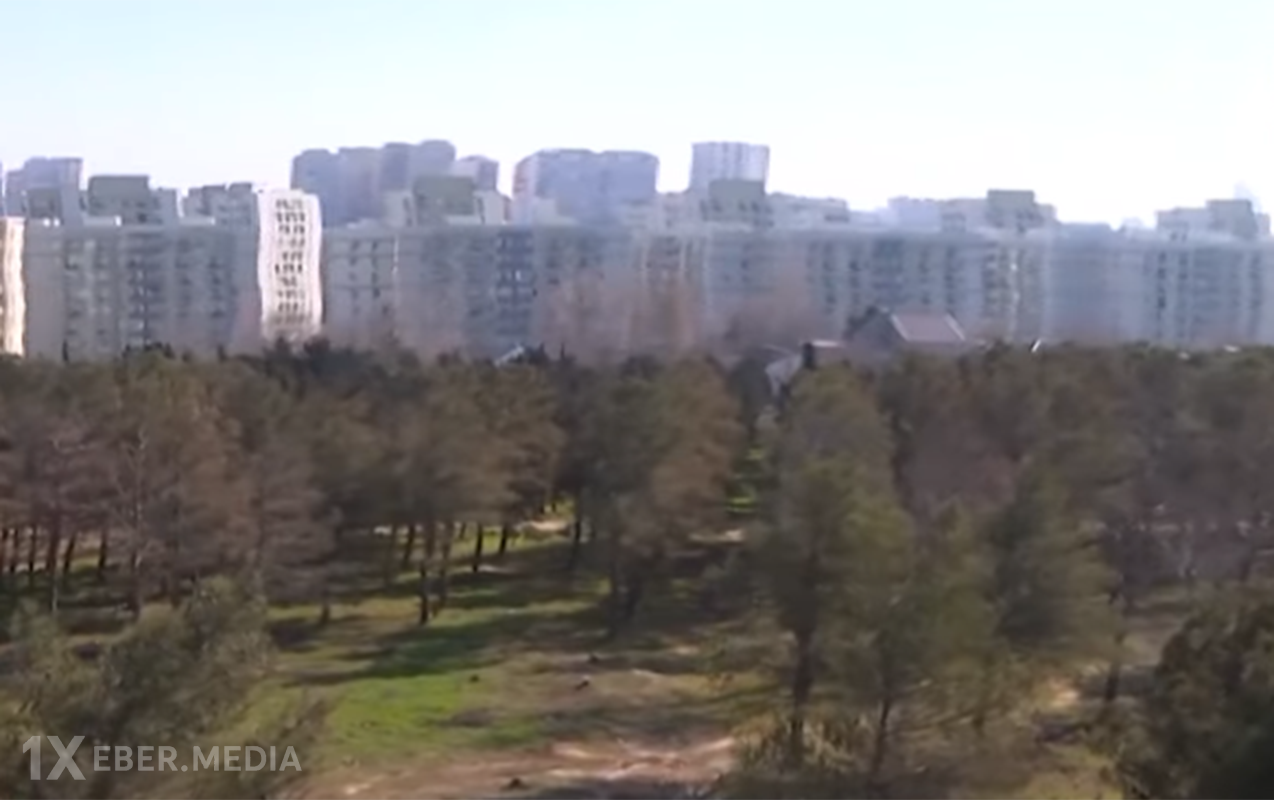 Yasamaldakı meşəlikdə bina tikiləcək? - Video