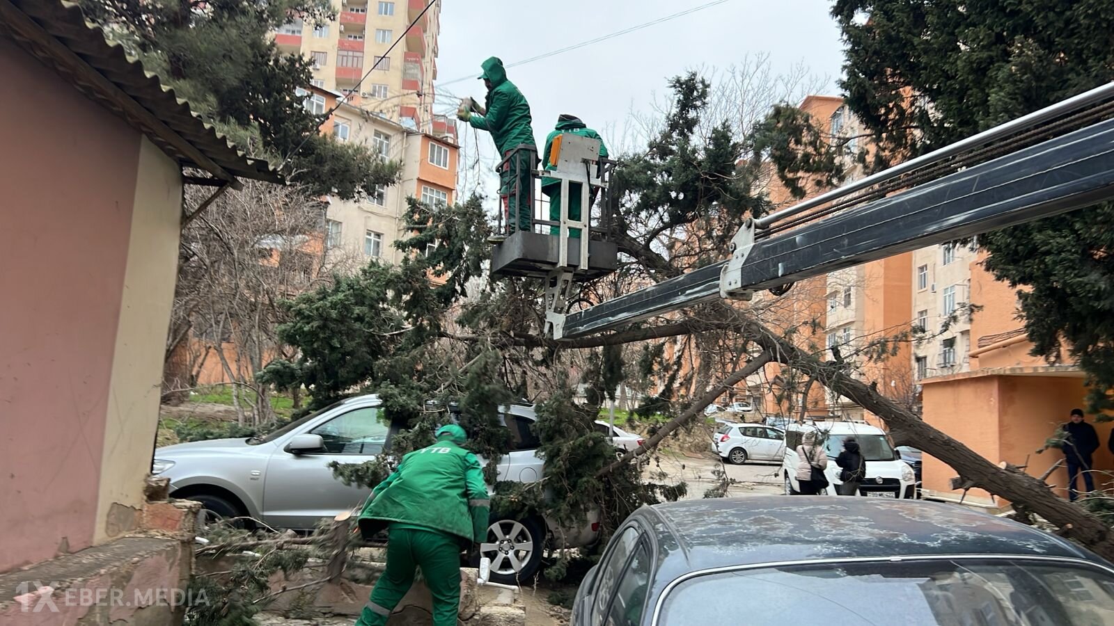 Bakıdakı güclü küləkdə 19 ağac qırıldı