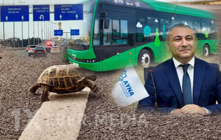 150 saylı marşrutda tısbağa sürətli “EcoBus” - Buzovna sakinləri AYNA-dan şikayətçidir