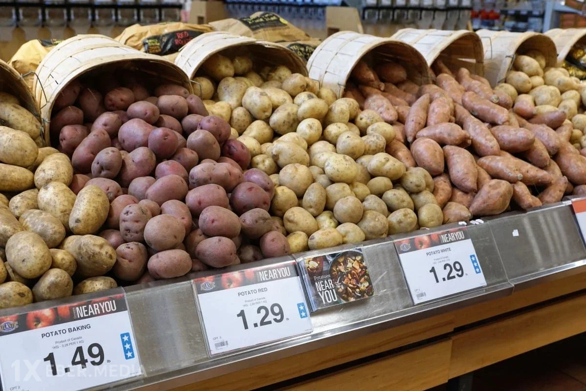 Azərbaycanda kartof BAHALAŞDI