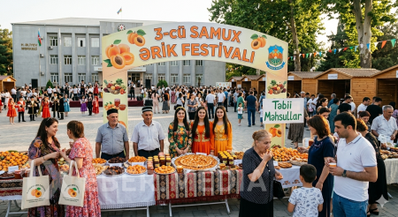 Samuxda  PUL YIĞIRLAR ...