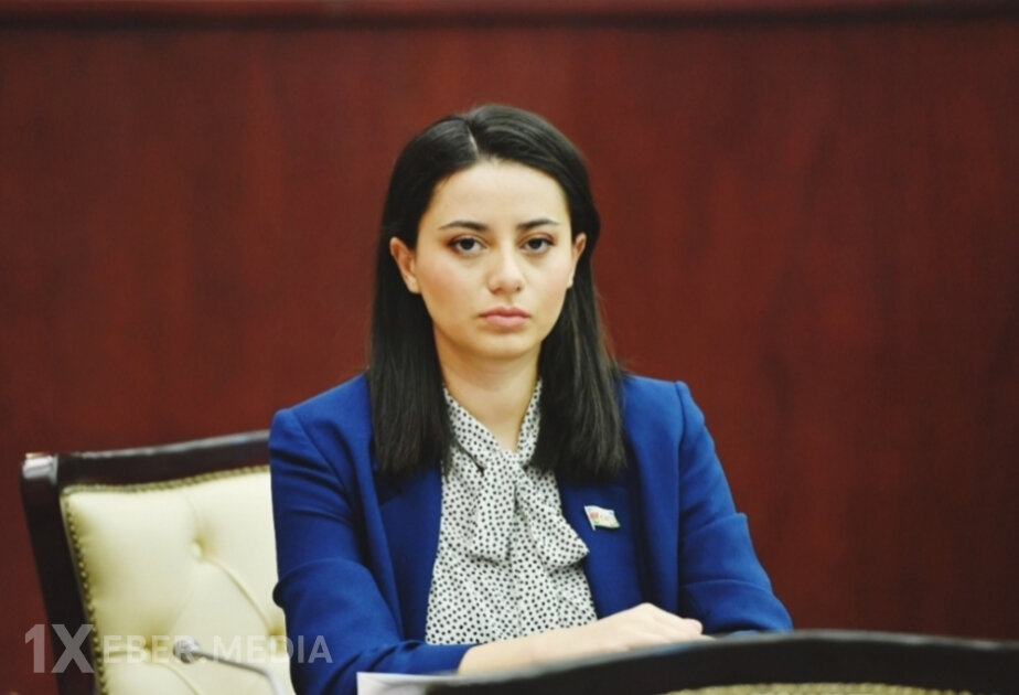 Deputat: Prezident İlham Əliyevin Zirvə toplantısında səsləndirdiyi fikirlər mühüm mesajları ehtiva edir