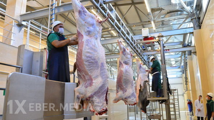 Qurbanlıq heyvanların satış və kəsim ünvanları - Açıqlandı