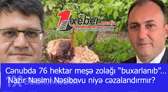 Cənubda 76 hektar meşə zolağı “buxarlanıb”… - Nazir Nəsimi Nəsibovu niyə cəzalandırmır?-VİDEO