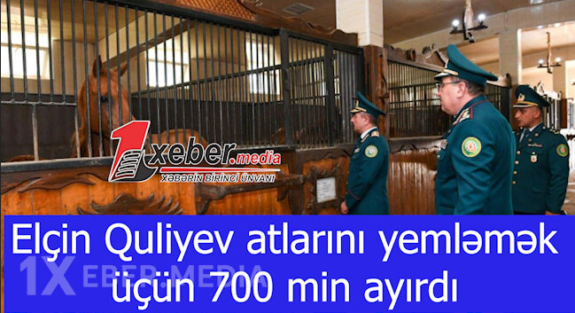 Elçin Quliyev atlarını yemləmək üçün 700 min ayırdı-VİDEO