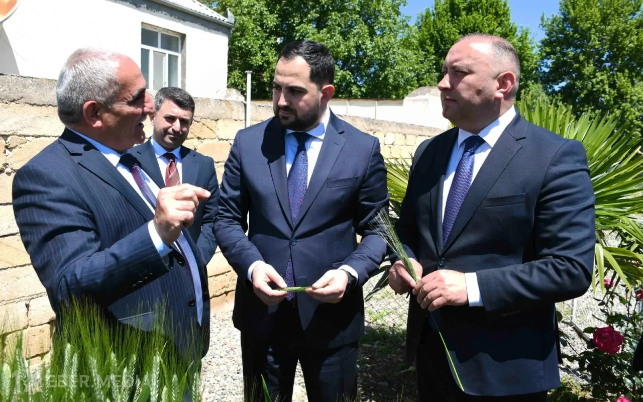 ADAU-da Bitkilərin Adaptasiya Otağı fəaliyyətə başlayıb - FOTOLAR