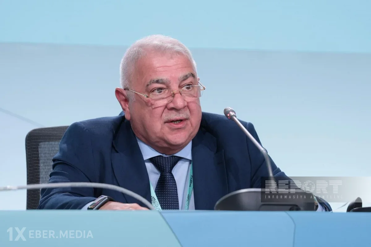 Rauf Hacıyev: Xəzərdə suyun azalmasının qarşısının alınmasında özəl sektor da iştirak etməlidir