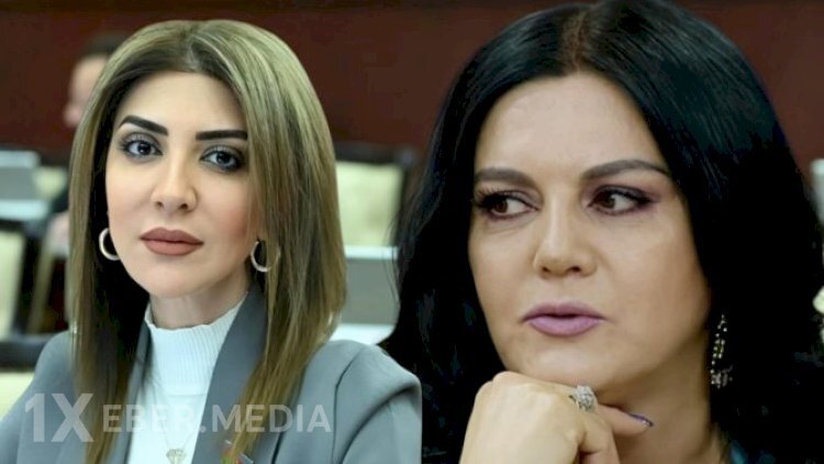 “Uşaqpulu verilsə, ailələr 3-dən çox uşaq dünyaya gətirər”