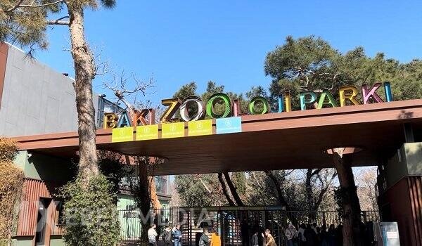 Bakı zooparkı ləğv olunur