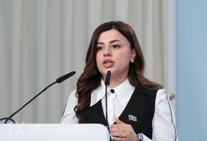 Pərvanə Vəliyeva: Ermənistanda çaylara çirkab suların axıdılması Azərbaycan ərazisinə də təsir edir