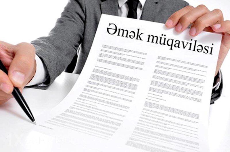 Hansı rayonda nə qədər yeni iş yeri açılıb? – Tam siyahı