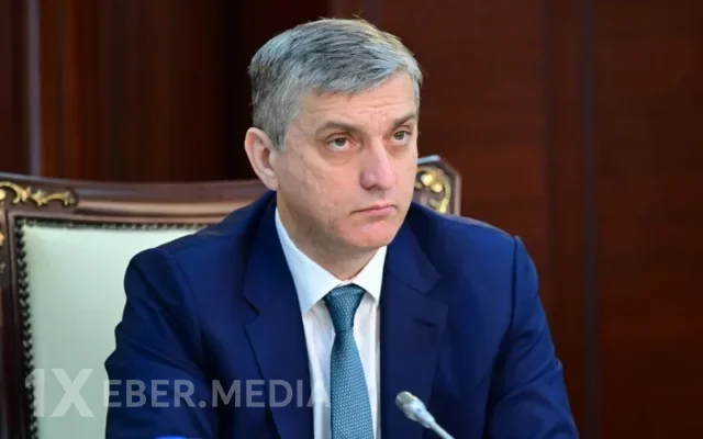 "Sığortalanmış əmlaka dəymiş ziyan üzrə büdcədən təkrar xərclər çəkilib" - Palata sədri