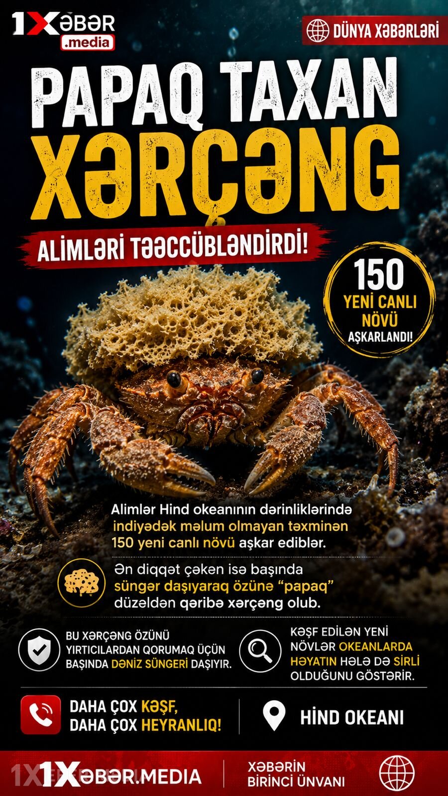 Dənizin dibində “papaq taxan” xərçəng tapıldı!