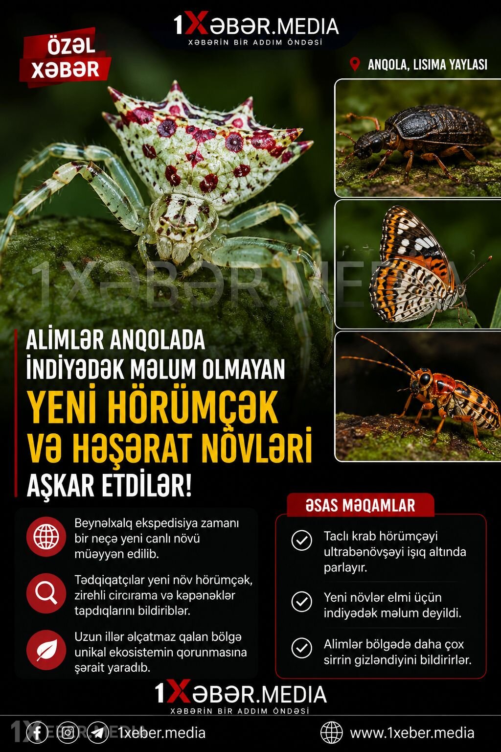Elm dünyasını heyrətləndirən kəşf!