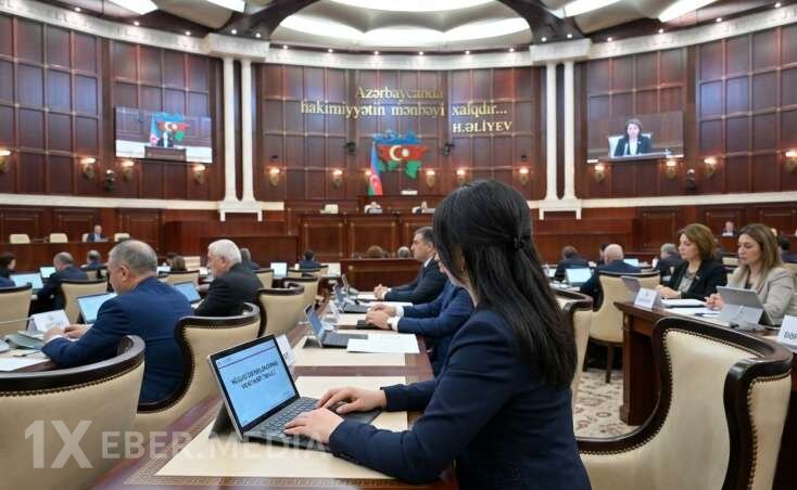 ​Azərbaycanın xanım deputatları kimlərdir?