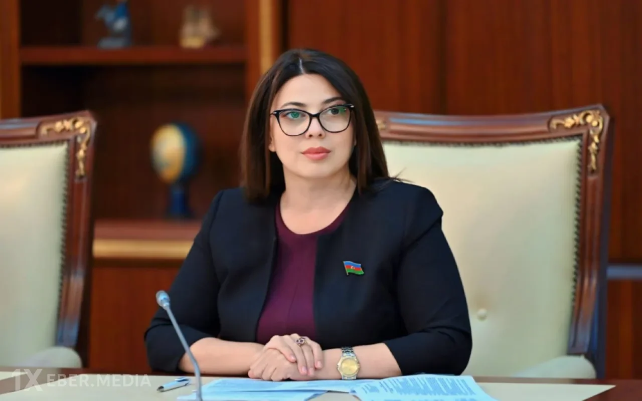 Xanım deputata ağır itki