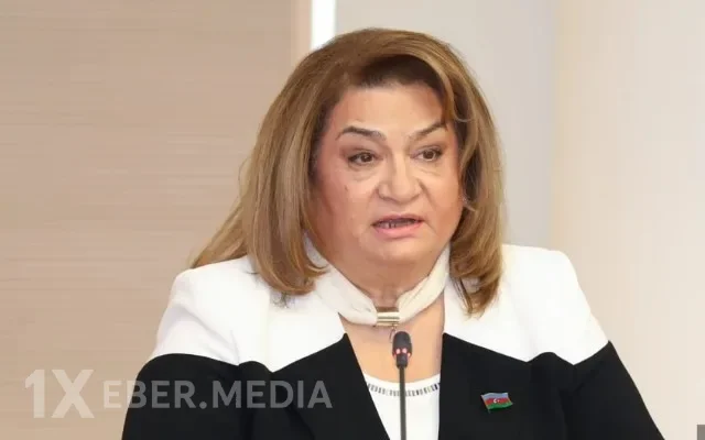 "Valideyn diqqət yönəltmir ki, uşaq telefonda nə ilə məşğuldur" - Komitə sədri
