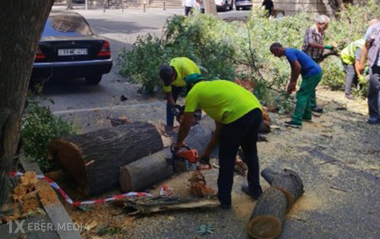 Bakıda sınan ağaclar yollardan götürüldü - Fotolar