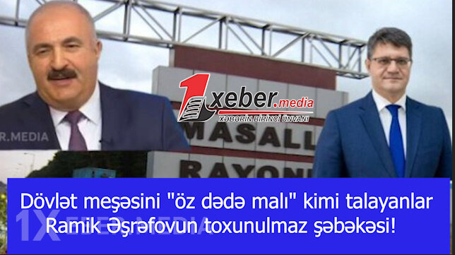 Dövlət meşəsini "öz dədə malı" kimi talayanlar — Ramik Əşrəfovun toxunulmaz şəbəkəsi!-VİDEO