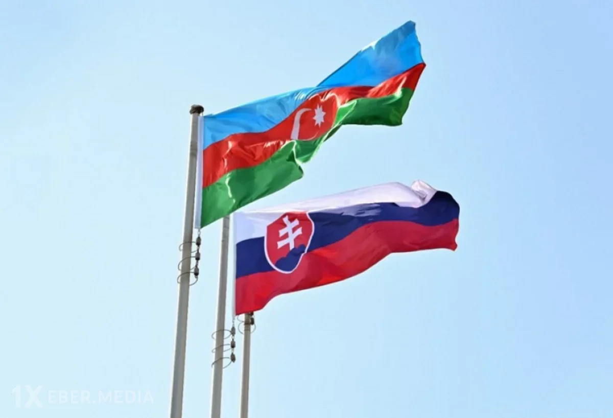 Azərbaycan-Slovakiya əməkdaşlığı üçün prioritet sahələr açıqlandı