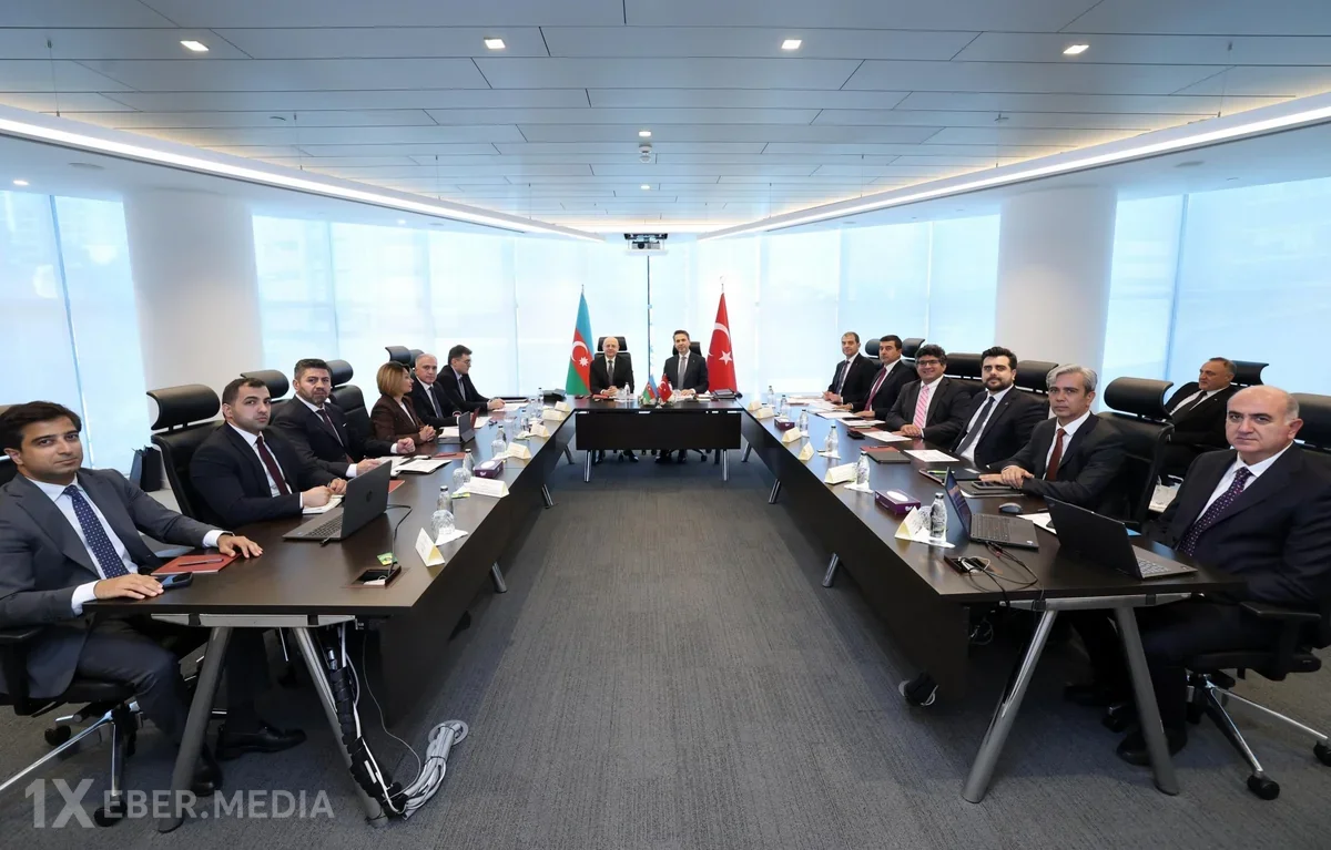 Türkiyə və Azərbaycan arasında bərpa olunan enerji mənbələri ilə bağlı layihələr müzakirə edilib
