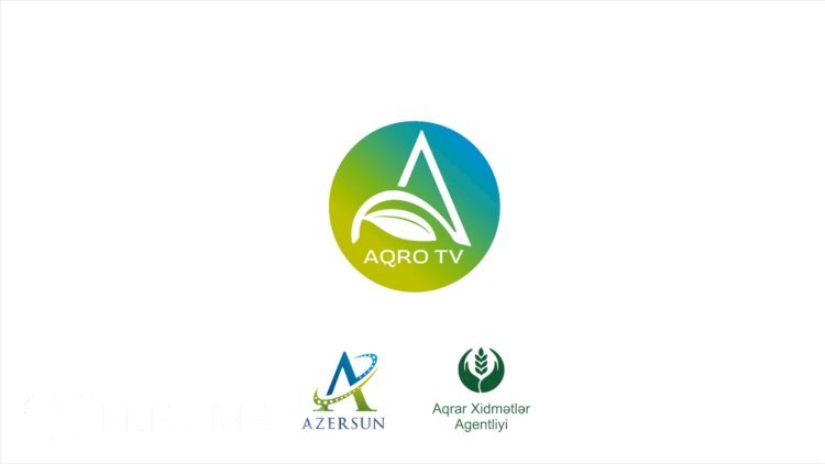 “Azərsun Holdinq” və Aqrar Xidmətlər Agentliyi sosial layihə reallaşdırıb