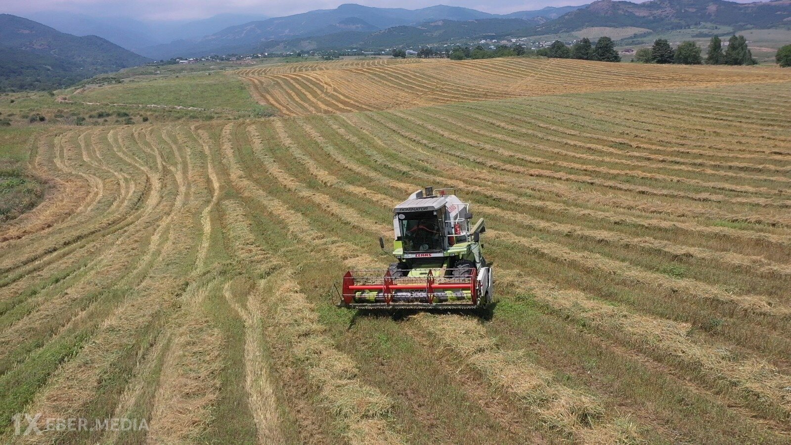34 ildən sonra Xocalı və Ağdərədə sakinlər taxıl biçini aparır