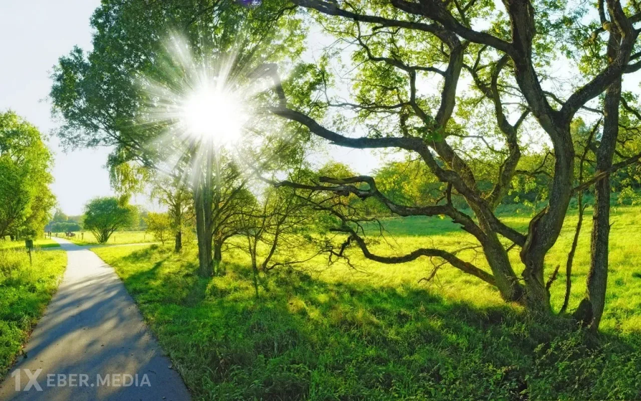Bazar gününə olan hava proqnozu