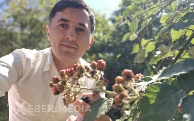 "Dövlət əmlakını taladım" - Tural Abbaslı