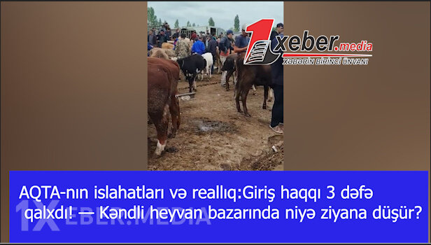 AQTA-nın islahatları və reallıq:Giriş haqqı 3 dəfə qalxdı! — Kəndli heyvan bazarında niyə ziyana düşür?-VİDEO