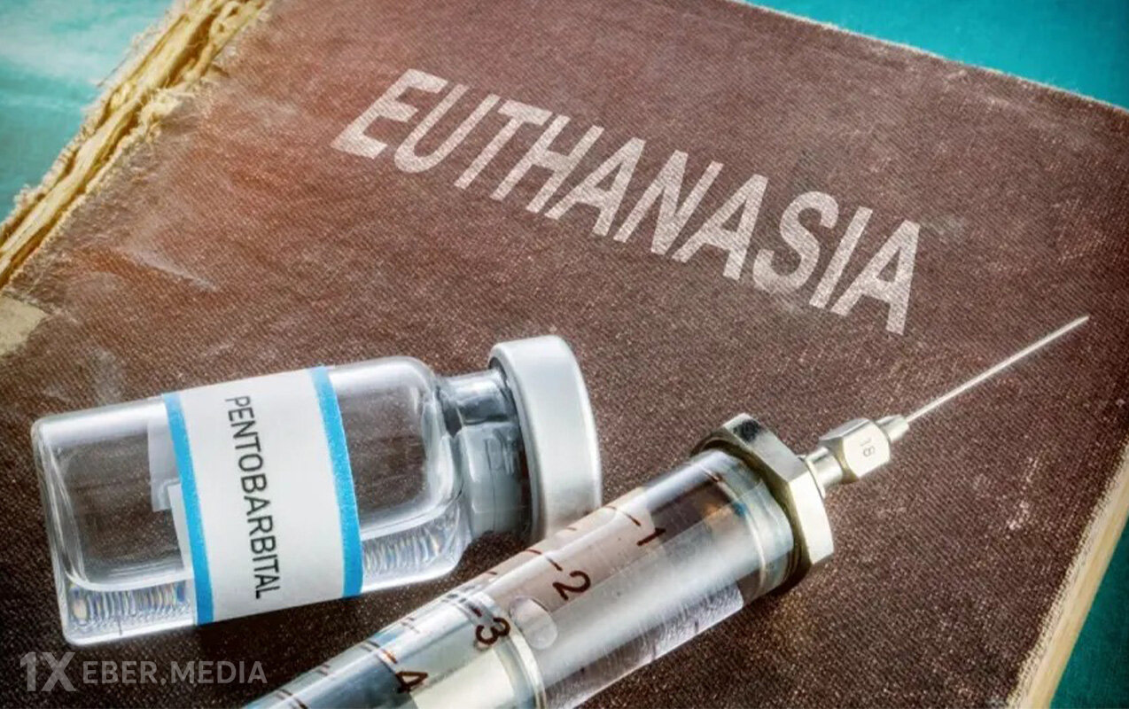Fransada evtanaziyaya qanunla icazə verildi