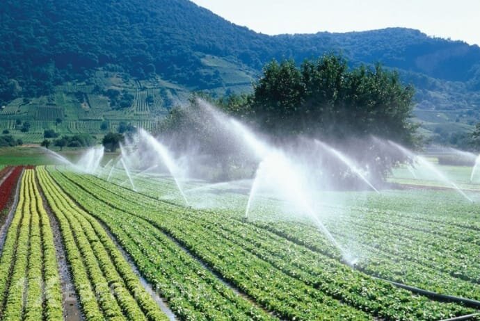 Su varsa, məhsul var – Düzgün idarəçilik məhsuldarlığı da  artırır