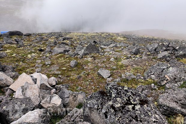 Rusiyada elmə məlum olmayan qızıldan bahalı yeni mineral aşkar edilib