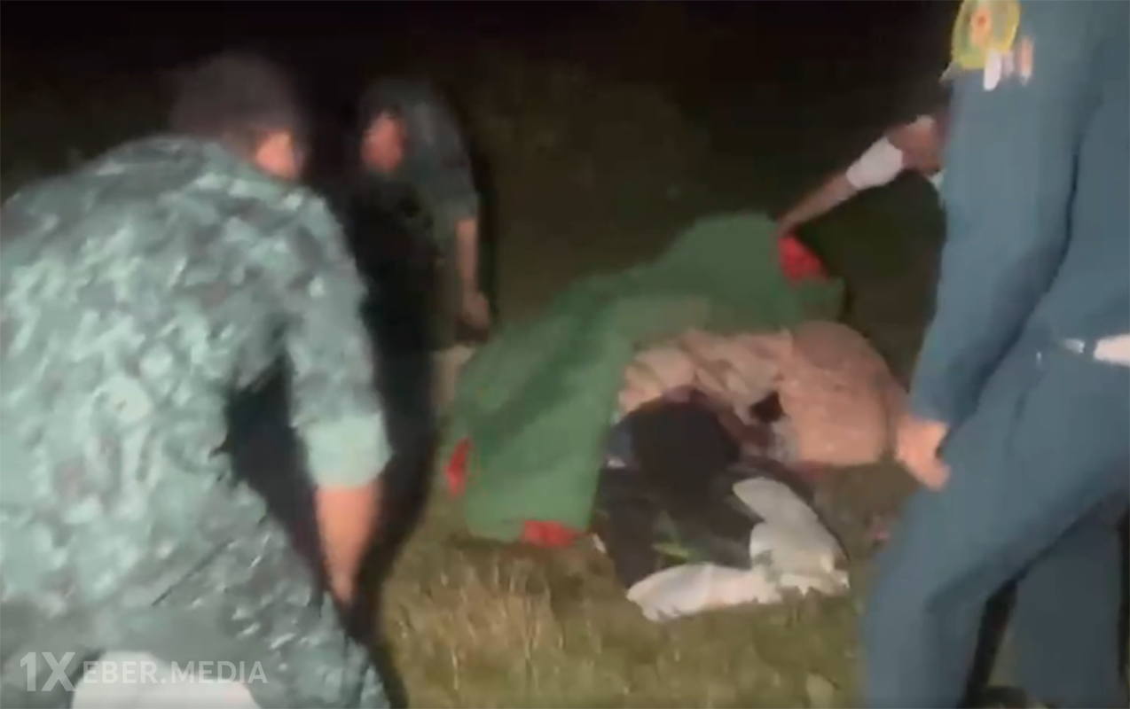 Niderlandlı qadına Şəkidə itlər hücum etdi
