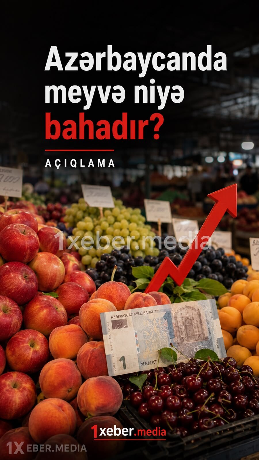 Azərbaycanda meyvə niyə bahadır? – Açıqlama